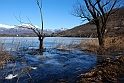 Lago Piccolo di Avigliana ghiacciato_077